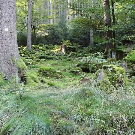 Apartman Ferienwohnung Hahnenfeld Waldbrunn