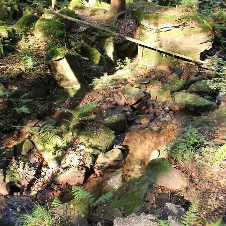 Ferienwohnung Hahnenfeld Waldbrunn