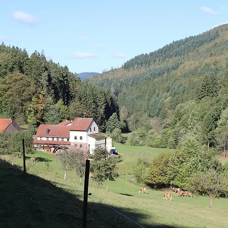 Apartman Ferienwohnung Hahnenfeld *