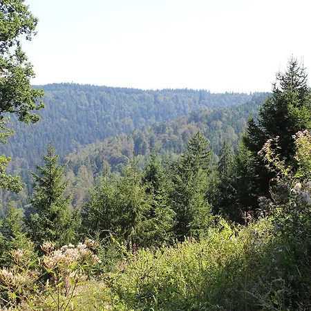 Apartman Ferienwohnung Hahnenfeld Waldbrunn