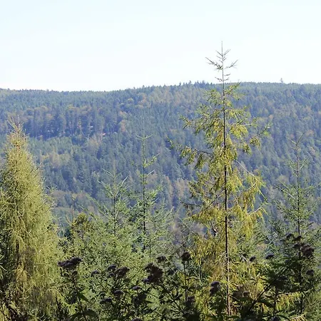 Ferienwohnung Hahnenfeld Apartman Waldbrunn